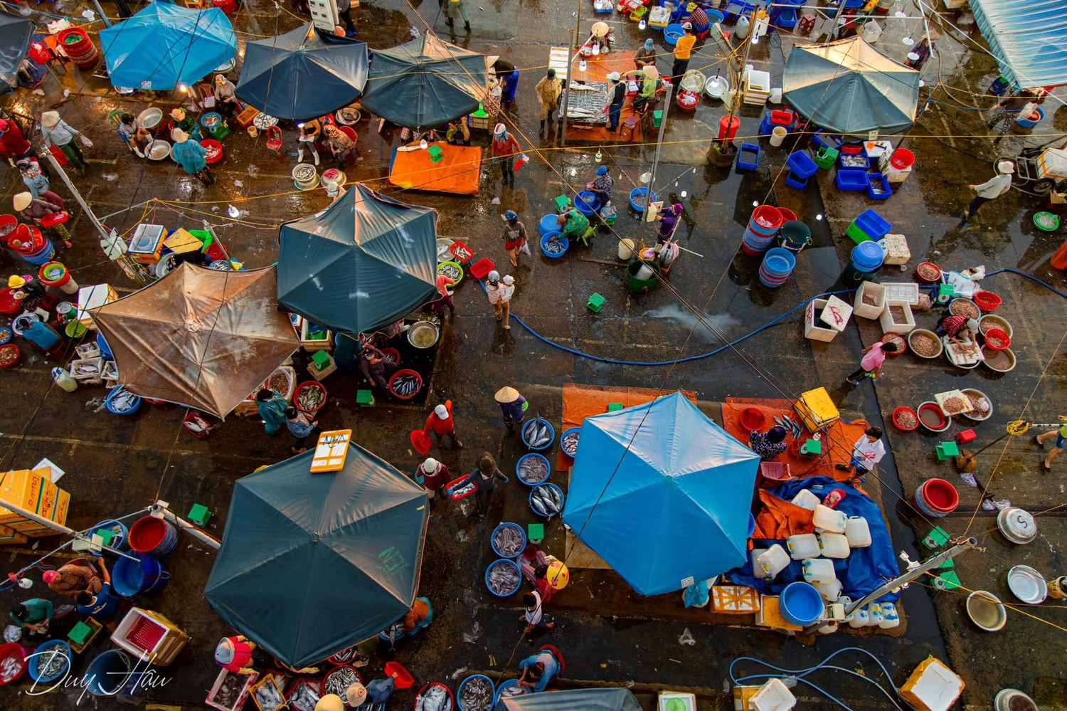 Chợ Hội An - Khám phá thiên đường ẩm thực đậm đà bản sắc văn hóa